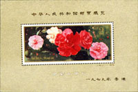 J42m.雲南山茶花加字小全張(13.5*9cm),原膠無黃無折,VF;註:原廠裁切微歪斜趣味,規格不變(Page 270)