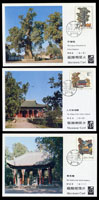 新中國極限明信片共8套,包括:(1)MC1.益鳥5片全2套,其中(5-1)一片色淡;(2)MC3.黃帝陵3片全1套;(3)MC4.朱鶢3片全1套;(4)MC5.木蘭科3片全1套;(5)MC6.猛禽4片全2套;(6)普29.萬里長城(明)極限明信片21片全1套;以上分銷原地或北京首日戳
