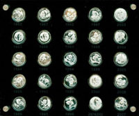 2007年中國熊貓金幣發行25周年紀念銀章,一套25枚,每枚均重1/4盎司,壓克力夾框裝,UNC(Page 34)
