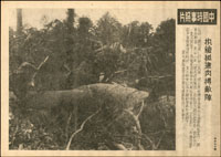 二戰日軍『中國時事照片』8件,其中2件重複,1件底邊微裂,37.5*26.5cm(Page 114)