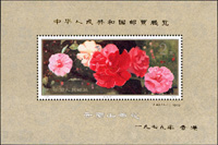 J42m.中華人民共和國郵票展覽.香港(9*13.5cm)小型張,原膠無黃斑,左下角尖軟印痕,VF(Page 218)