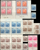 常102.國花新票500元.300元各4方連帶右下角雙邊紙張號廠銘,100元11枚(含2個方連各帶版號.雙邊紙張號廠銘),50元16枚(含3個方連各帶版號廠銘),40元5枚(含1個方連帶廠銘),20元16枚(含3個方連各帶版號.雙邊紙張號廠銘),10元10枚(含2個方連各帶版號廠銘),總面值共計NT$5720元,品像混合,部分背面局部淡黃或有壓痕,VF-F;歡迎至官網瀏覽全貌