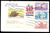 實寄封16件:(1)1993-1994年美國本地實寄封7封,貼專題票,票戳俱全;另有一件近期台北寄美國航掛封;(2)1959-1993年日本,馬來西亞,泰國,荷蘭,菲律賓實寄封8封,貼專題票,票戳俱全