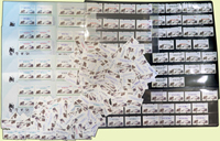 臺灣黑熊郵資票新票284枚,含1元~99元,總面值共計NT$4250元,或有重複,VF;林茂興舊藏