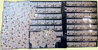 臺灣黑熊郵資票加印高雄2005國際郵票邀請展紀念.中華民國96年全國郵展紀念.中華民國九十三年全國郵展紀念新票一組,共304枚,含1元~99元,總面值共計NT$4647元,或有重複,VF;林茂興舊藏