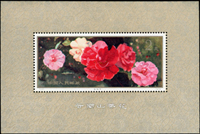T37m.雲南山茶花小型張(9*13.5cm),原膠,背面局部黃斑,VF-F(Page 128)