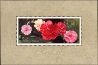 T37m.雲南山茶花小型張(9*13.5cm),原膠,背面均勻淡黃,VF-F(Page 128)